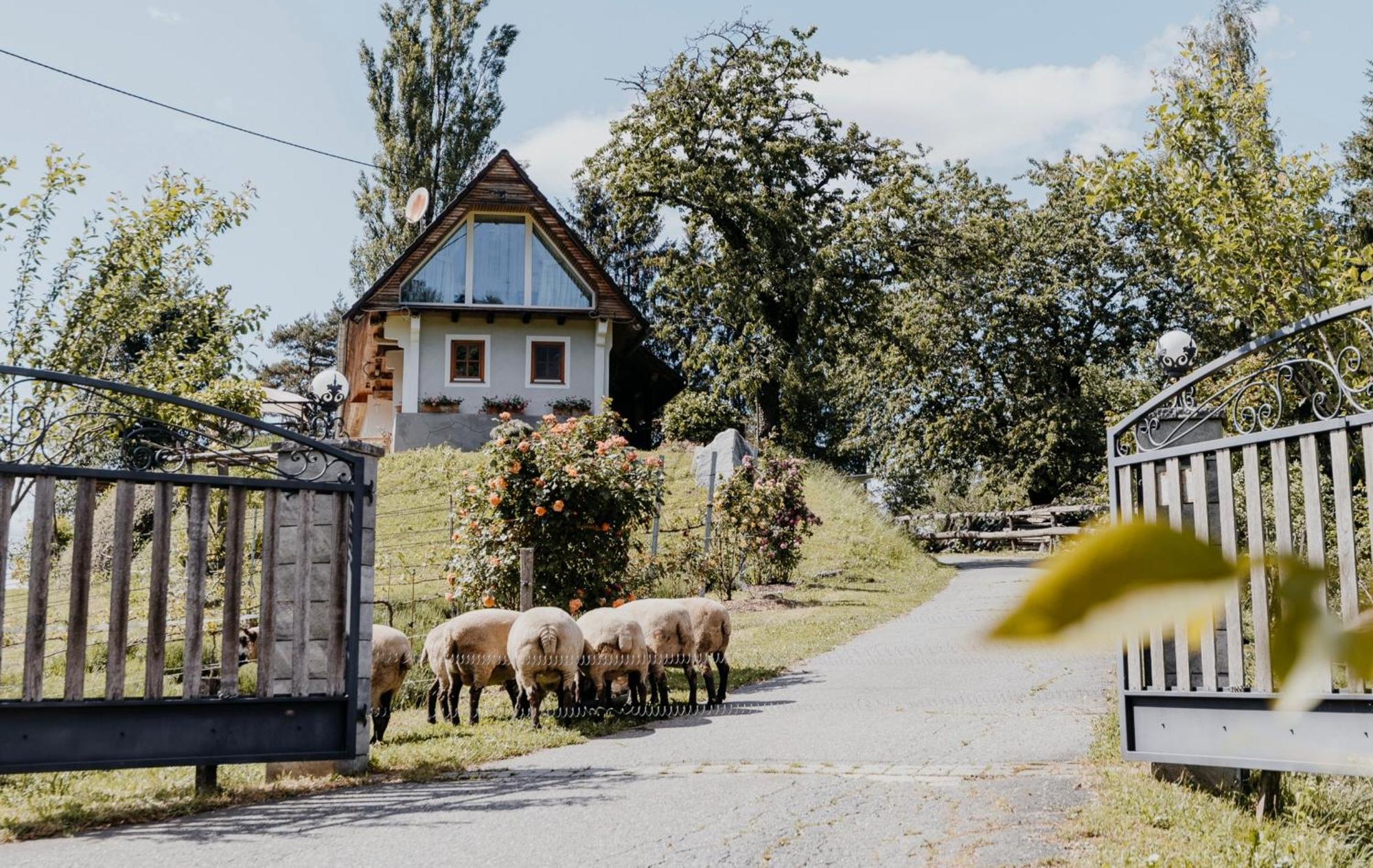 Ferienhaus Am Herbsthof Leutschach Zewnętrze zdjęcie
