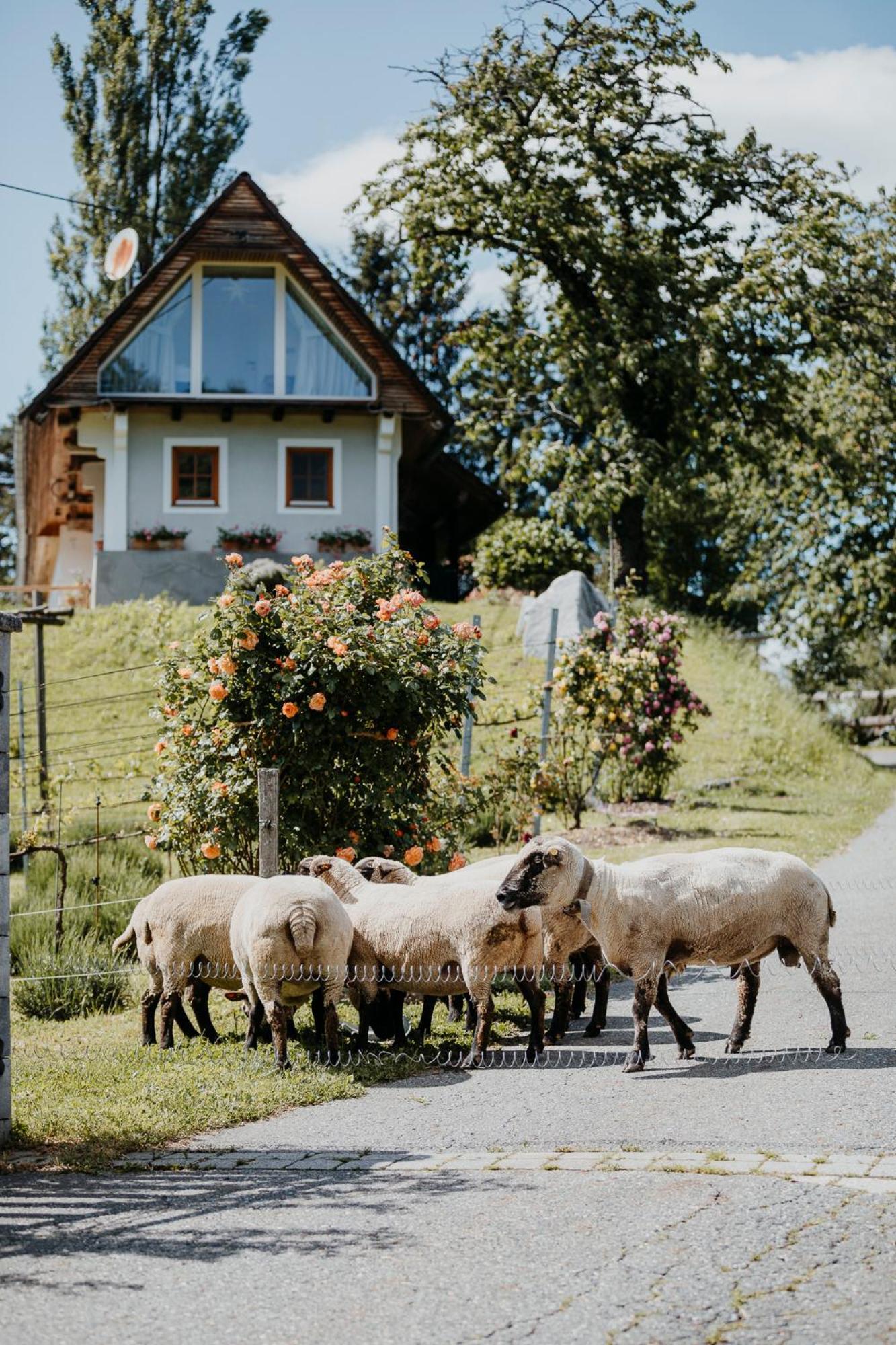 Ferienhaus Am Herbsthof Leutschach Zewnętrze zdjęcie