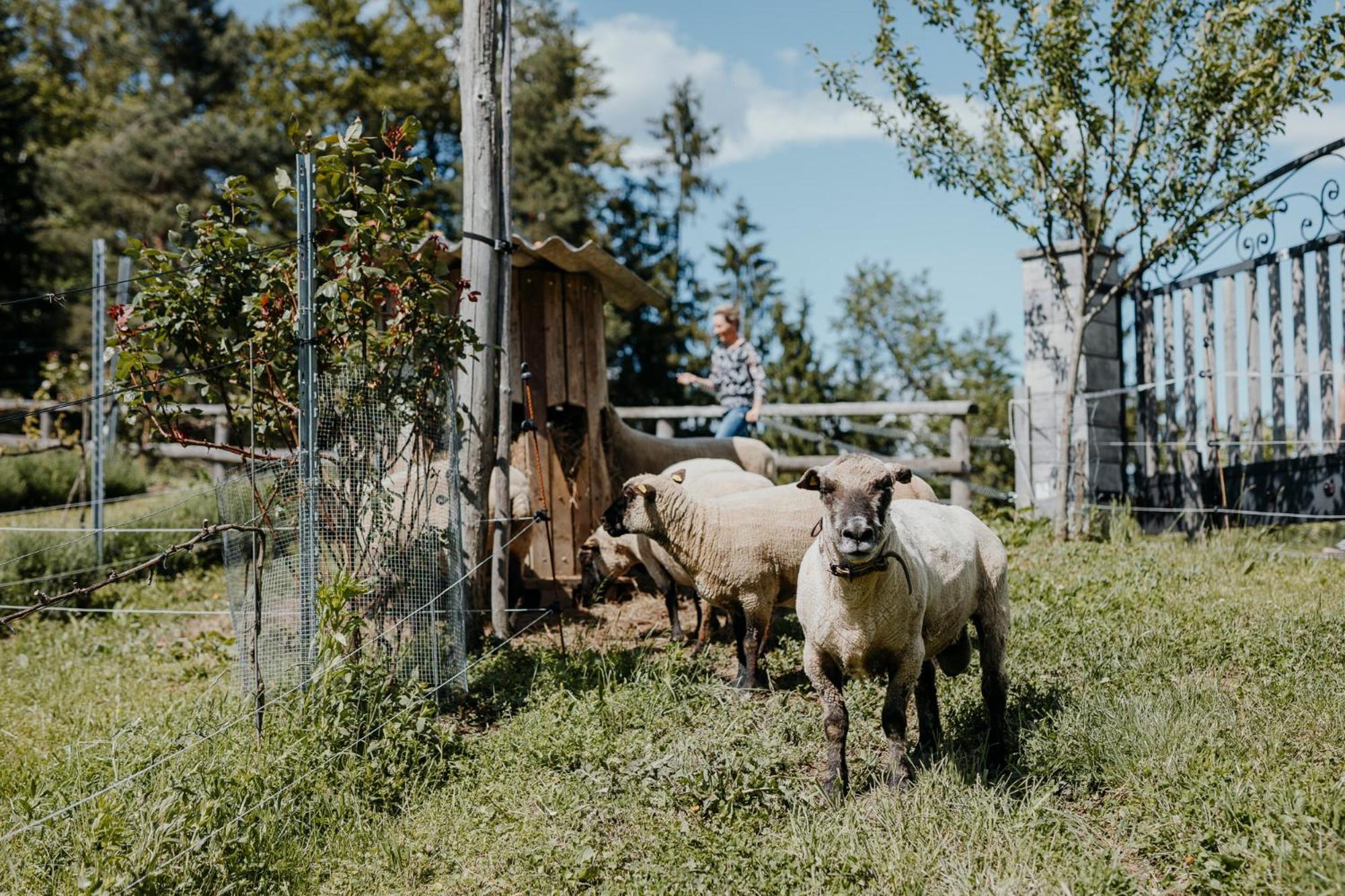 Ferienhaus Am Herbsthof Leutschach Zewnętrze zdjęcie