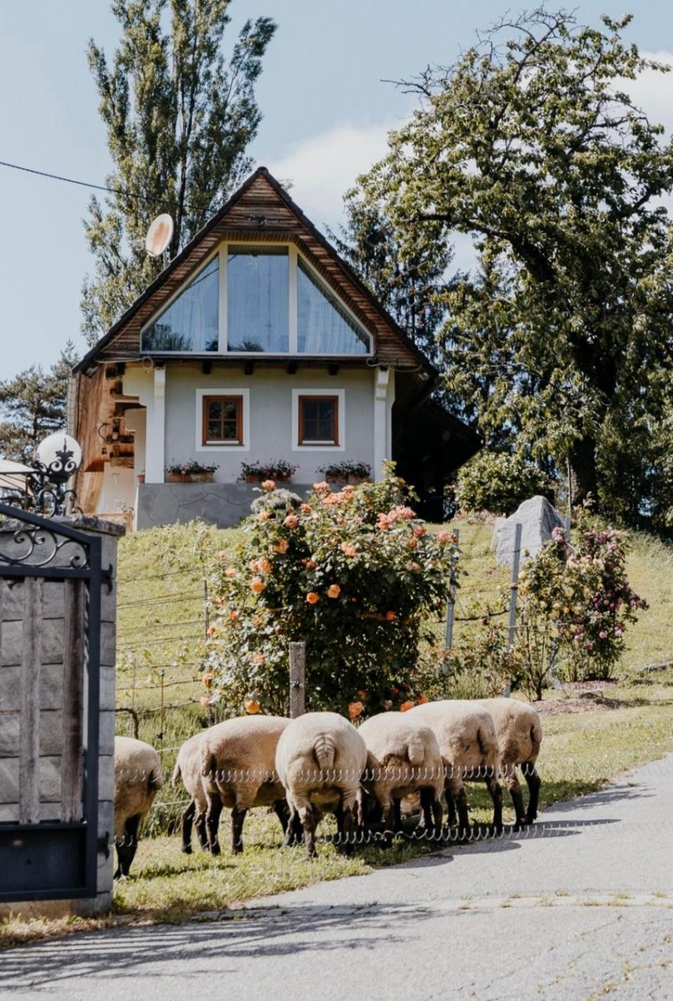 Ferienhaus Am Herbsthof Leutschach Zewnętrze zdjęcie